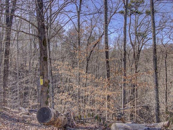 5th image of 4585 Crooked Creek Way