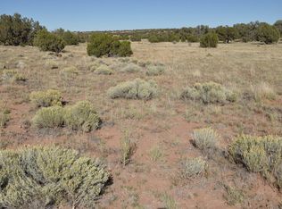 PARCEL 1 N County Road 9190, Concho, AZ 85924