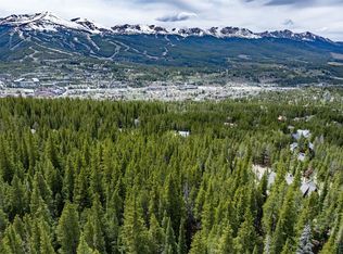 436 Moonstone Rd, Breckenridge, CO 80424