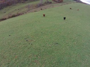 20500 Dickerson Hollow Rd NE, Flintstone, MD 21530