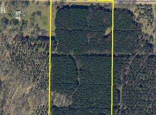 Bischoff Rd, Arcadia, MI 49613