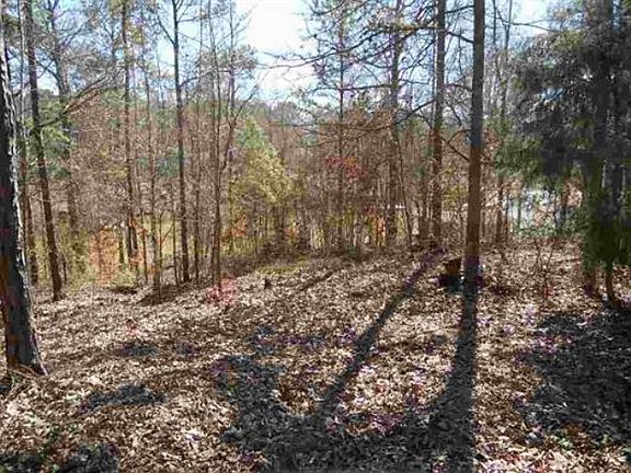 4th image of 260 Little River Trl