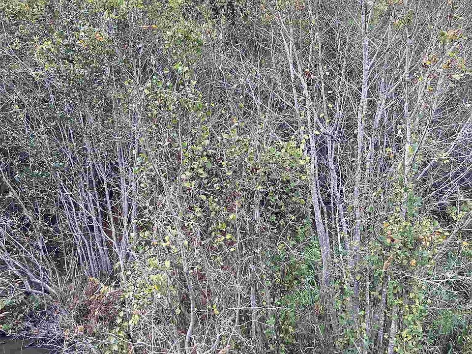 1st image of 0 Highway 117