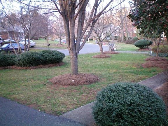 2nd image of 5323 Glenbrier Dr
