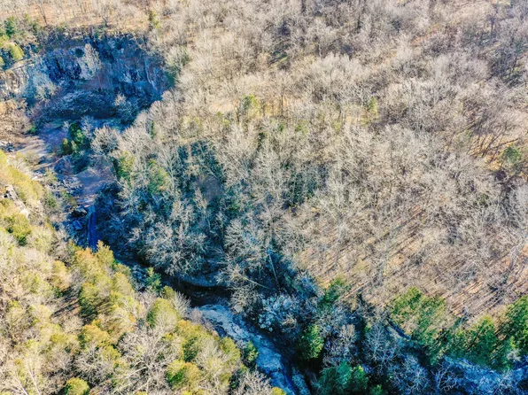 0 Red Tuttle Rd Lot 2, Bethpage, TN 37022