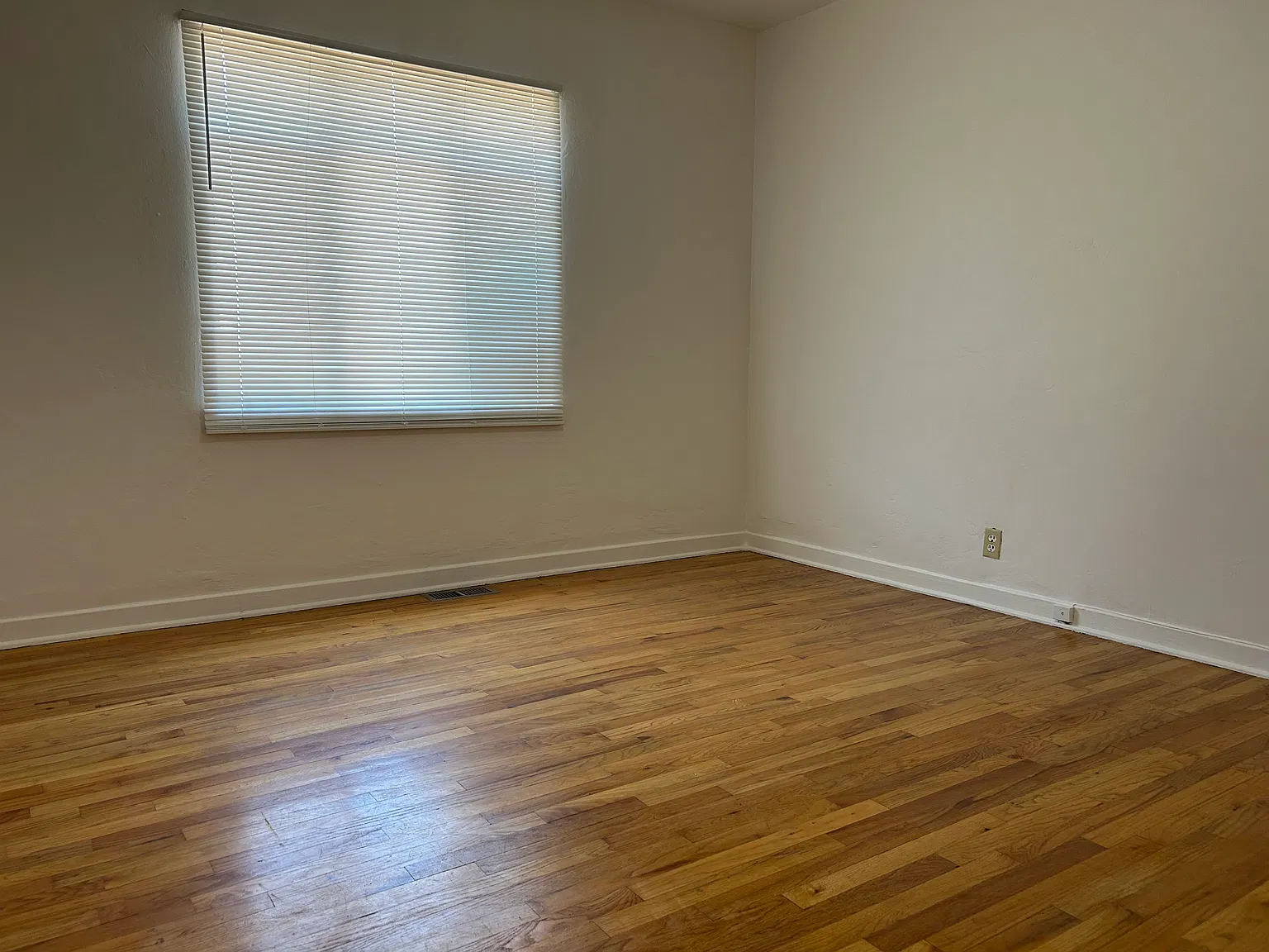 Private,Spacious & Bright 1 Bedroom Downtown! — Photo 4