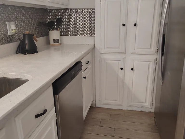 Beautiful New sofistic metal backsplash!