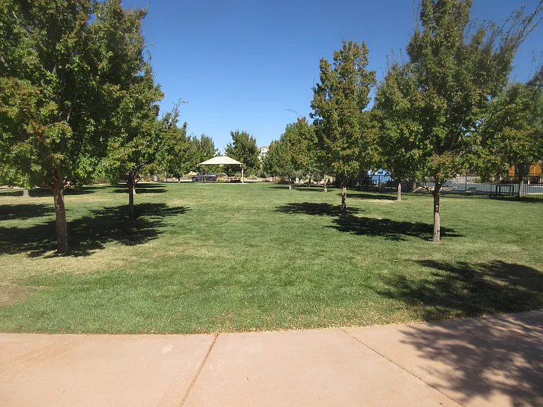 Community Park