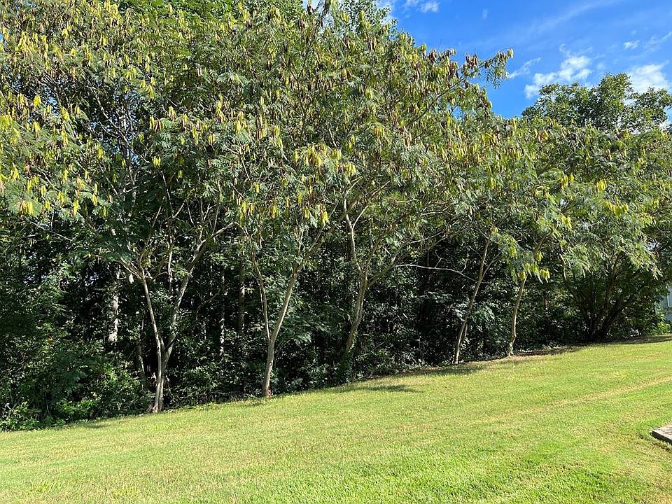 1st image of 196 Ivey Lake Pkwy