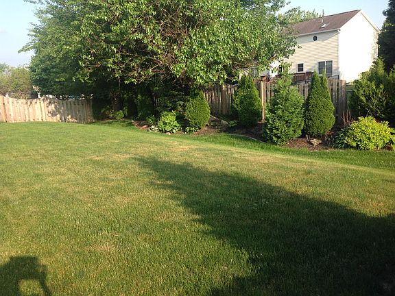Backyard1