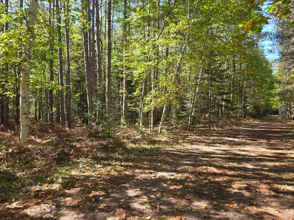 LOT 2 Sandy Ln, Land O Lakes, WI 54540