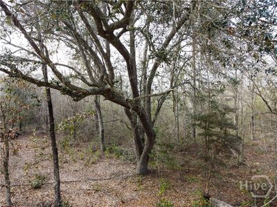 0 Floyd Road Lot 9, Pembroke, GA, 31321
