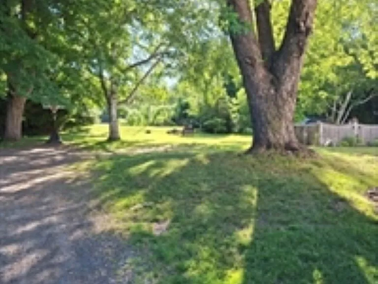Backyard out to 'the river'
