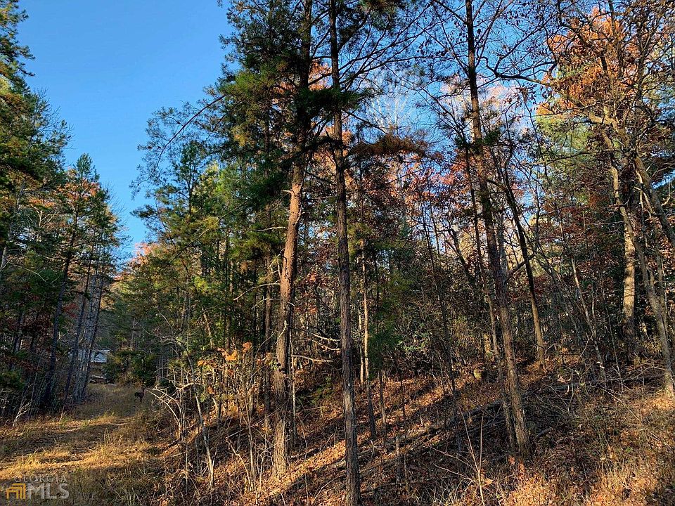 2nd image of 141 Wildflower Dr
