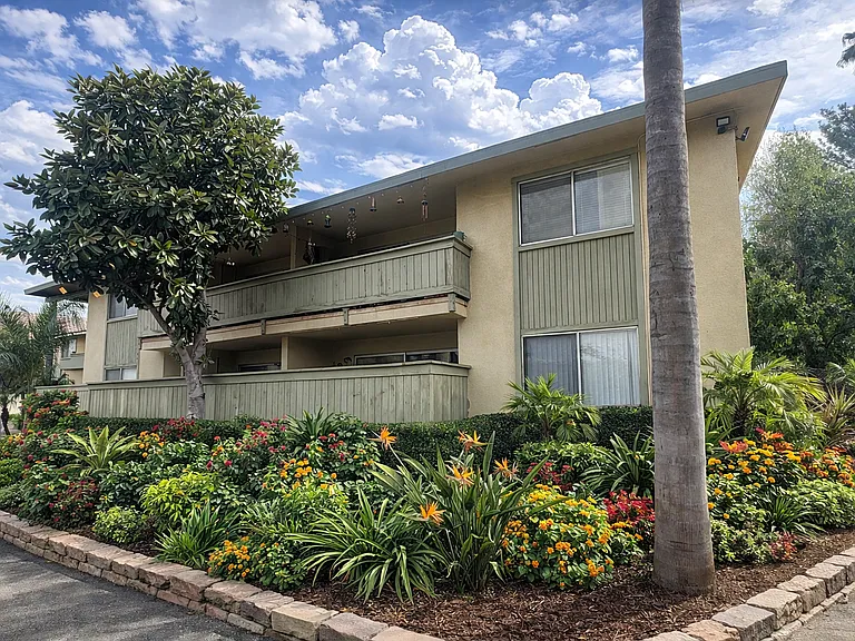 Palm Vista Apartments — Photo 11