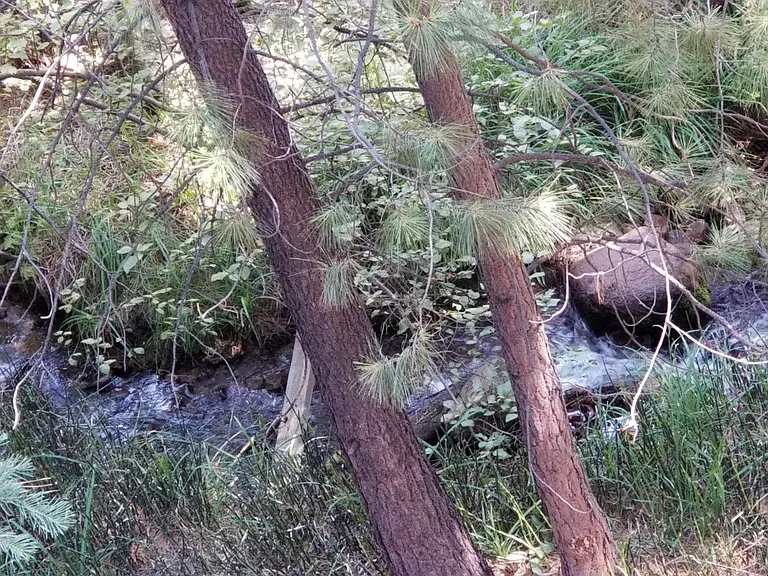 Second Creek Dr — Photo 10