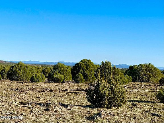 5th image of TBD Mustang Ln Lots F & H 5.5 Acre -- #-