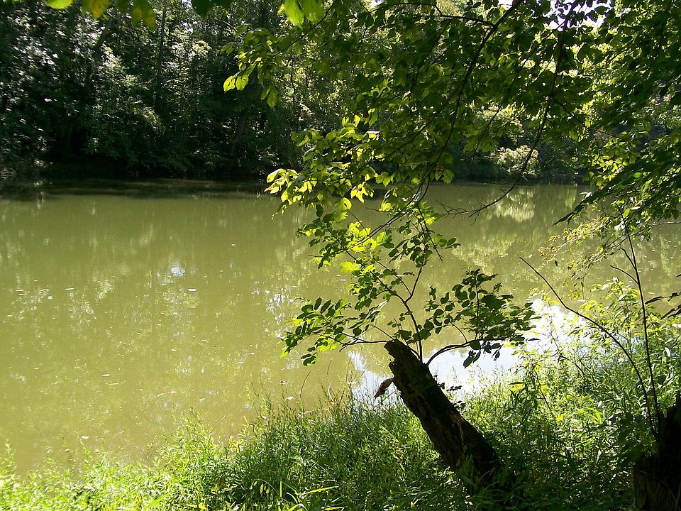 1st image of 0 Rock Island Shores Dr Lot 14