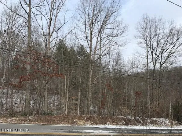 080-015.00 Buffalo Rd, Oneida, TN 37841