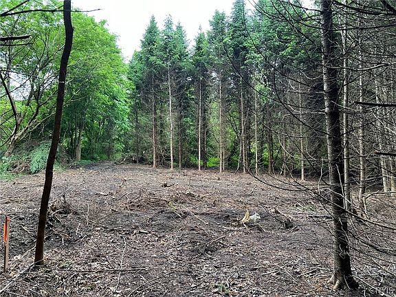 3rd image of 6201 Us Highway 20 Lot 13