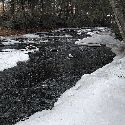 Brook (rear boundary) north 