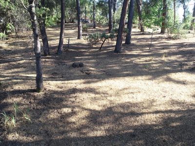 0 Shady Oak Ln, Diamond Springs, CA, 95619