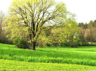 0 Bauer Jr Rd, Freehold, NY 12431