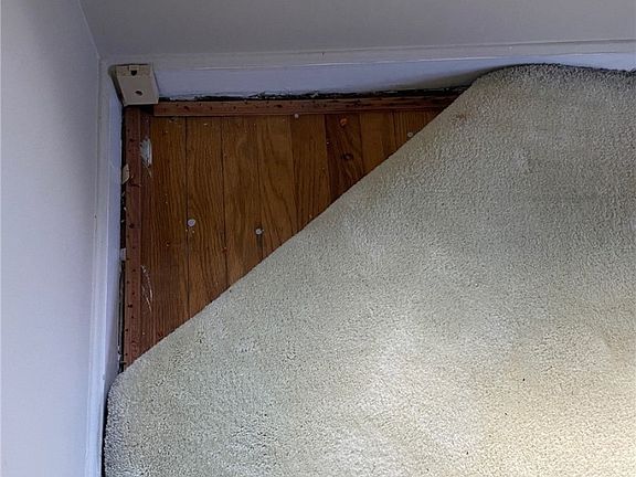 5th image of 7006 Woodhaven Ave