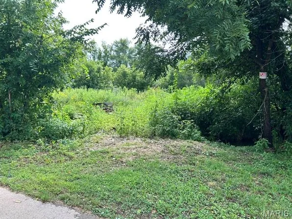 0 County Road 32, Middle Brook, MO 63656