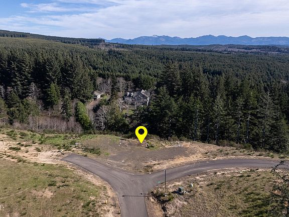 3rd image of 10 Tl Roaring Tide Loop