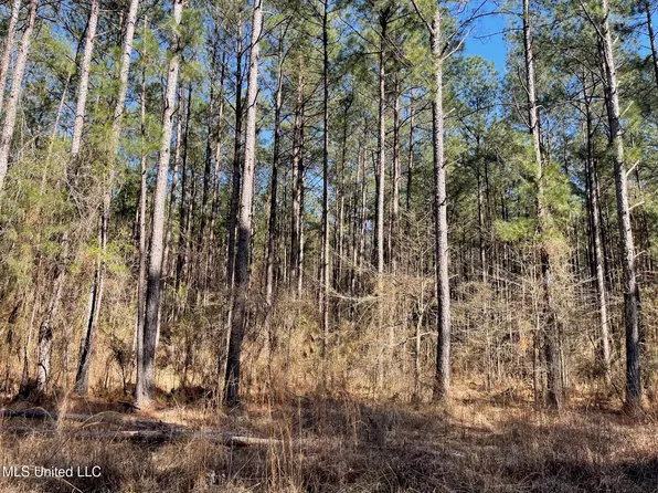 0 Sun Rd, Raleigh, MS 39153