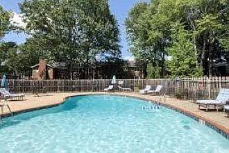 Salt Water Pool
