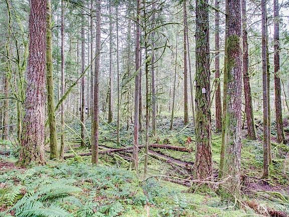 2nd image of 22 Wilderness Way