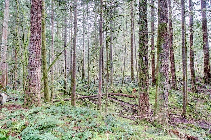 2nd image of 22 Wilderness Way