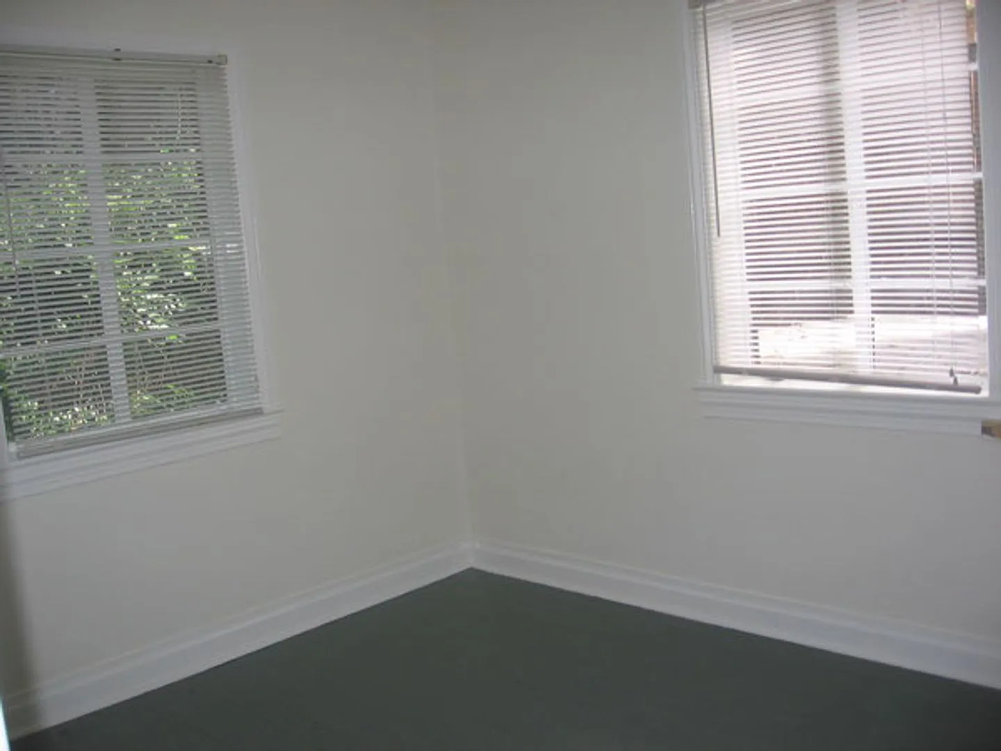 1BR Apartment at 307 Ransom Walk to Class or Downtown — Photo 4