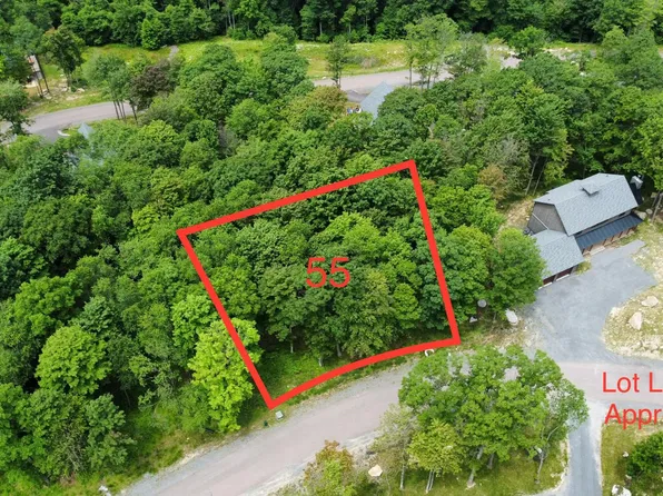 55 N Camp Rd, Mc Henry, MD 21541