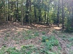 1st image of 0 Shelter Branch Rd Lot 1A