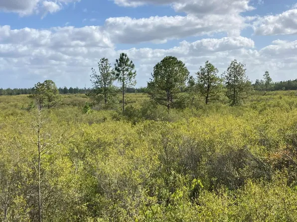 0 La Bennett Rd, Mayo, FL 32066