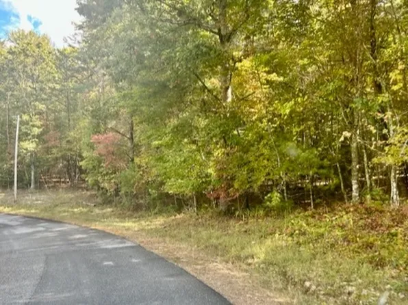 Turkey Trot, Blairsville, GA 30512