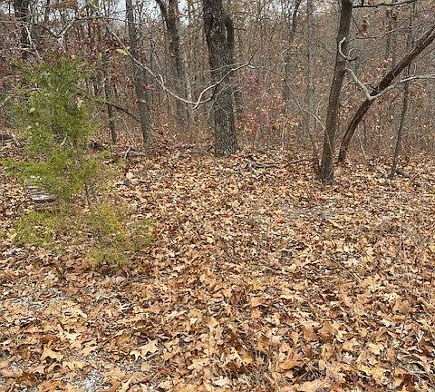 5th image of Denver Ln #8