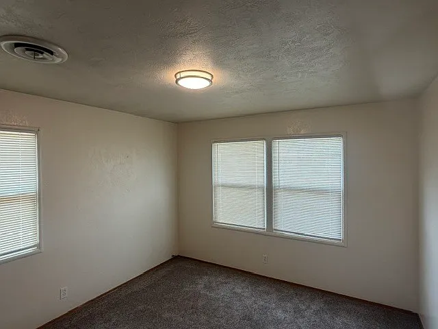 1514 Maplewood Dr — Photo 10