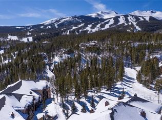 239 Snowflake Dr, Breckenridge, CO 80424
