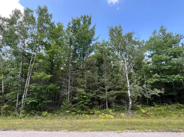 130 Wilderness Dr, Presque Isle, MI 49777