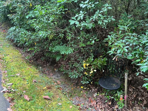 22 Sourwood Court, Sapphire, NC 28774
