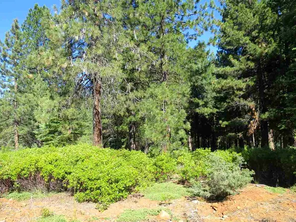 510 Bailey Creek Dr, Westwood, CA 96137