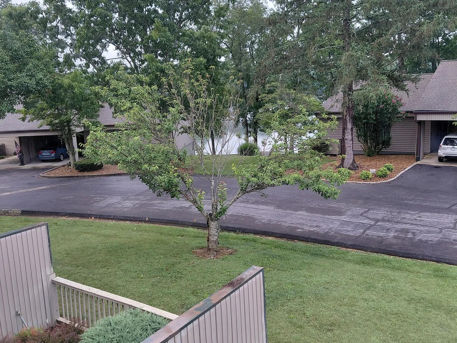 2 bed, 2.5 bath, 1252 sqft, $1,595 — Photo 4