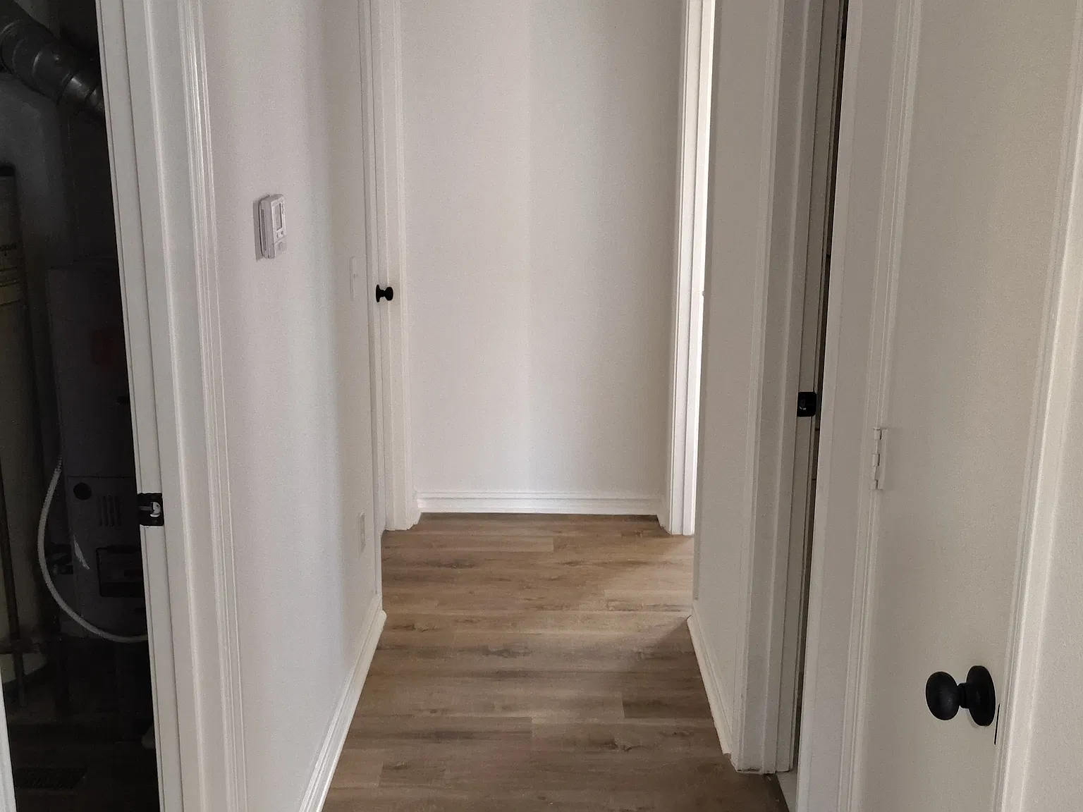 2 bed, 1100 sqft, $1,295 — Photo 2