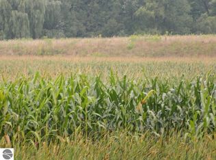 S Coldwater Rd, Blanchard, MI 49310