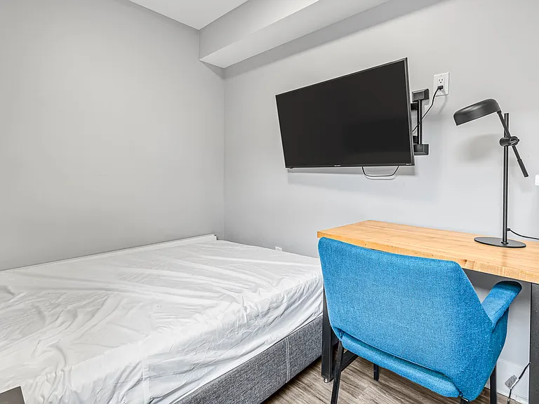388 Chapel St #3 — Photo 9