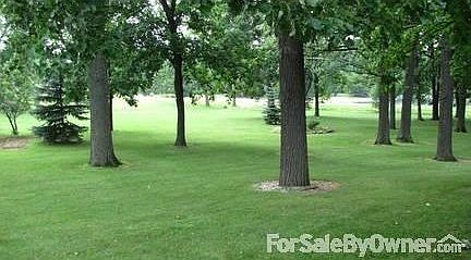 Backyard : Mature trees in yard. Oak and Hickory